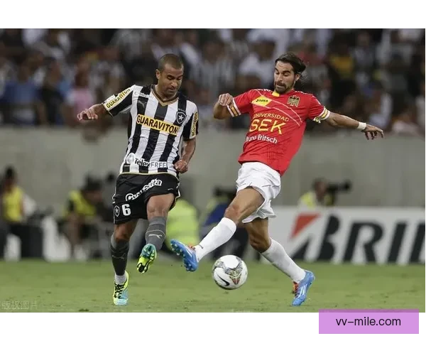 博塔弗戈巴甲曾领先十三分却十一轮不胜痛失冠军梦